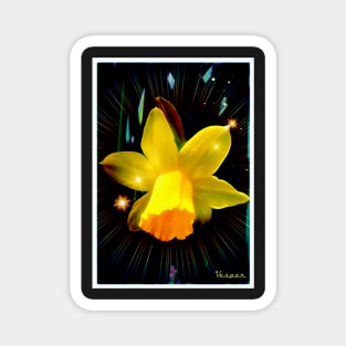 Baby Daffodil Magnet