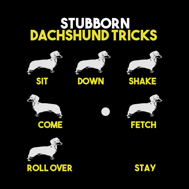 Stubborn Dachshund Tricks Dog by nhatvv