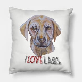 I Love Labradors Pillow