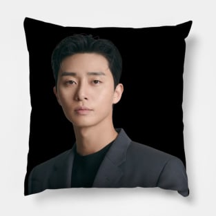 Park Seo Joon - V7 Pillow