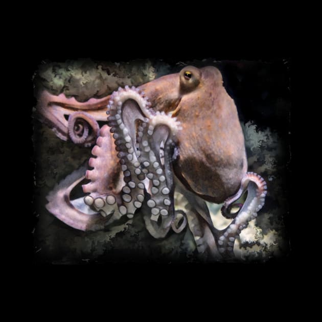 Octopus by PhotoArts