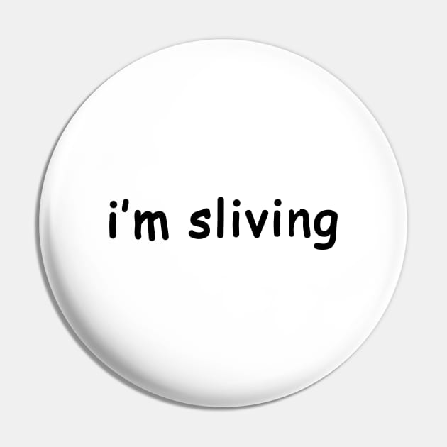 Pin on Sliving