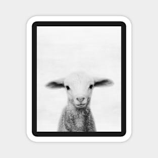 Lamb Magnet