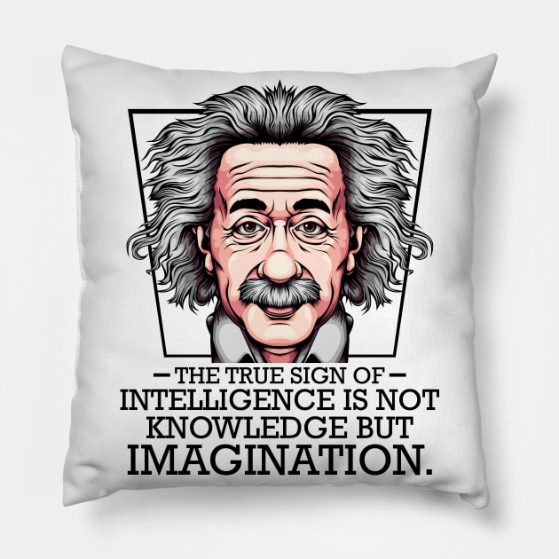 Albert Einstein Pillow by Lumio Gifts