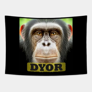 DYOR Funny Monkey Humorous Apes Animals Tapestry