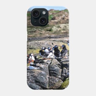 A Group of Puffins - Farne Islands, Northumberland Phone Case