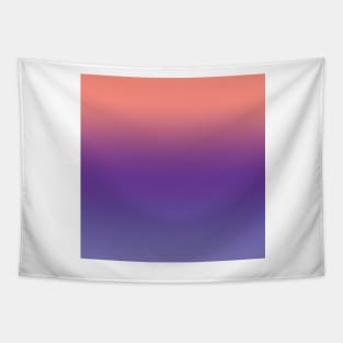 Pink, blue and grey color gradient Tapestry