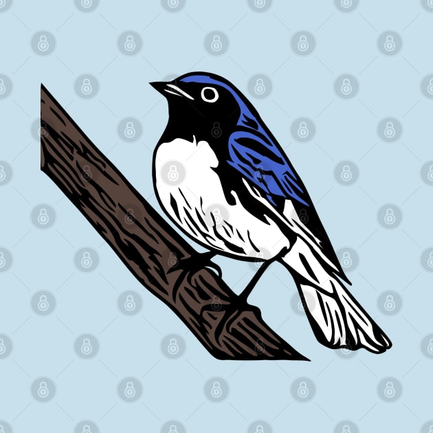 Black-Throated Blue Warbler by KayBee Gift Shop