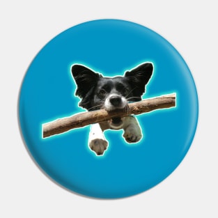 Lena the Wonder Dog by BrokenTrophies Pin