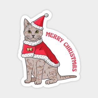 Cats wearing Christmas gear Magnet