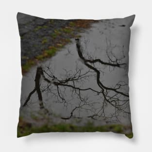 Mud Puddle Reflection Pillow