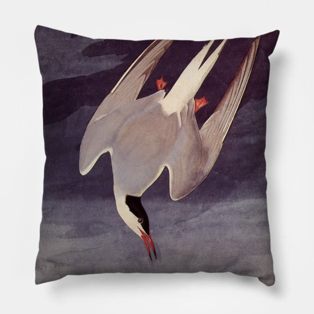 Arctic Tern Pillow by MasterpieceCafe