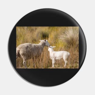 Ewe and Lamb1 Pin