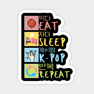 Eat Sleep K-pop Repeat South Korea Music And Japanese Noodles lover Magnet