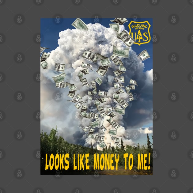 Looks Like $$$$ by Firethreadz