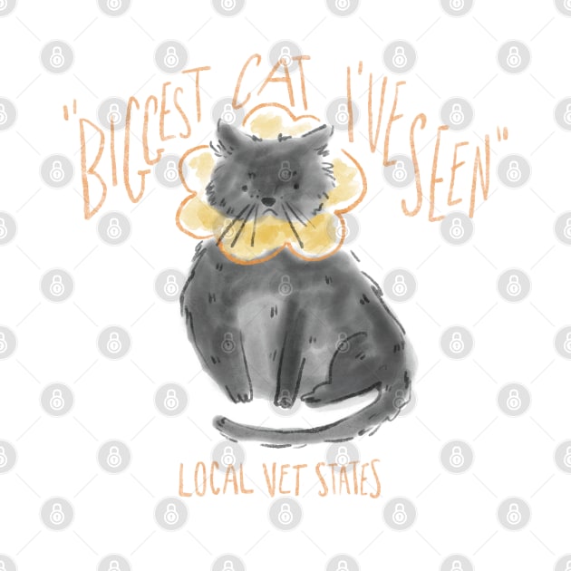 Bucky Butterflower /  Black Cat Illustration Fat Cat / Biggest Cat - With Text by lizillu