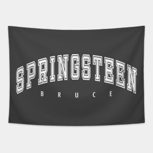 Bruce Springsteen Tapestry