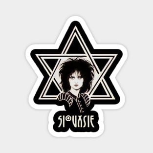 Siouxsie and the banshees Magnet