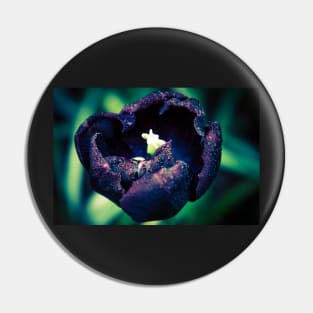 Deep Purple Tulip Pin