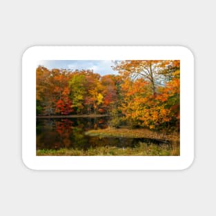 Autumn Pond Reflections Magnet