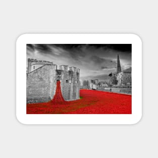 Tower of London Red Poppies Magnet