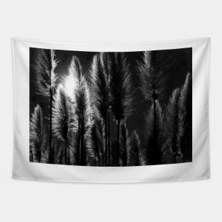 Pampas Grass with Back Light Tapestry