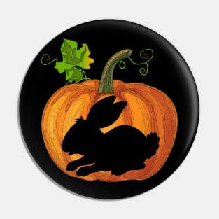 Bunny in pumpkin Pin