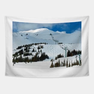 Jasper Canadian Rocky Mountains Alberta Canada Tapestry