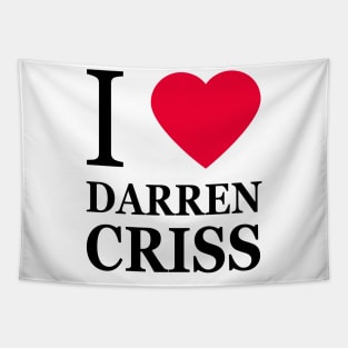 I love Darren Criss Tapestry