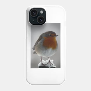 Robin Phone Case