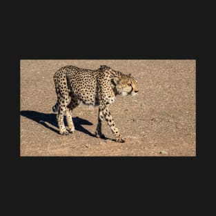 Cheetah walking. T-Shirt