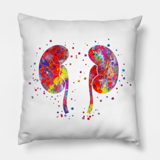 The kidneys anatomy Pillow