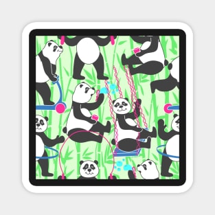 Playful Panda Bears Magnet