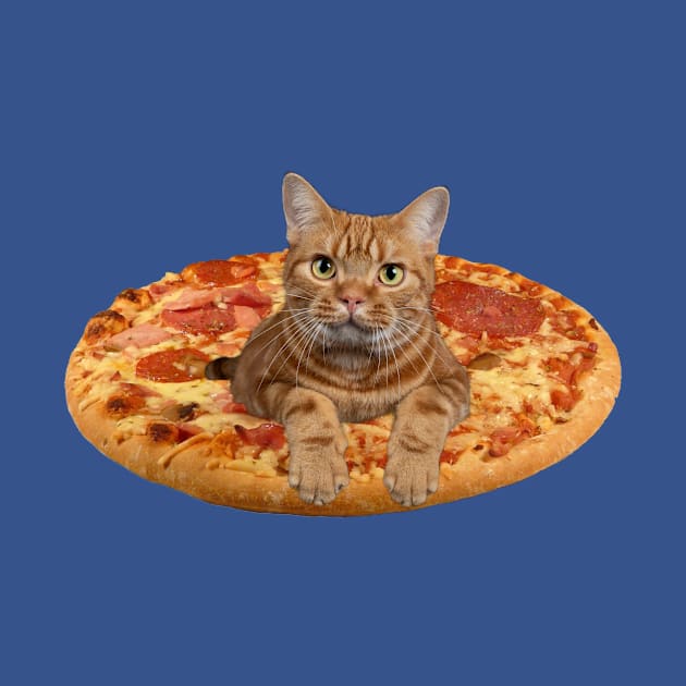 Pizza Cat by Vince and Jack Official