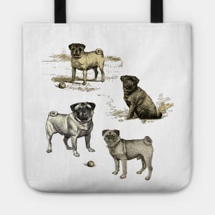 PUG DOGS Tote