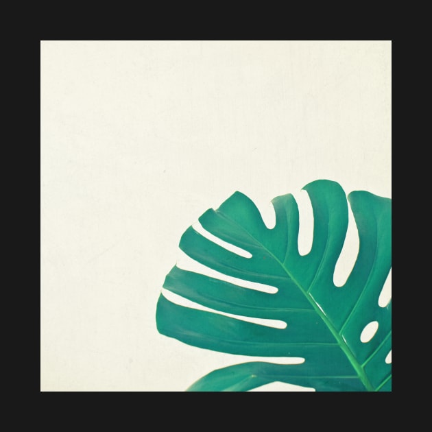 Monstera II by Cassia