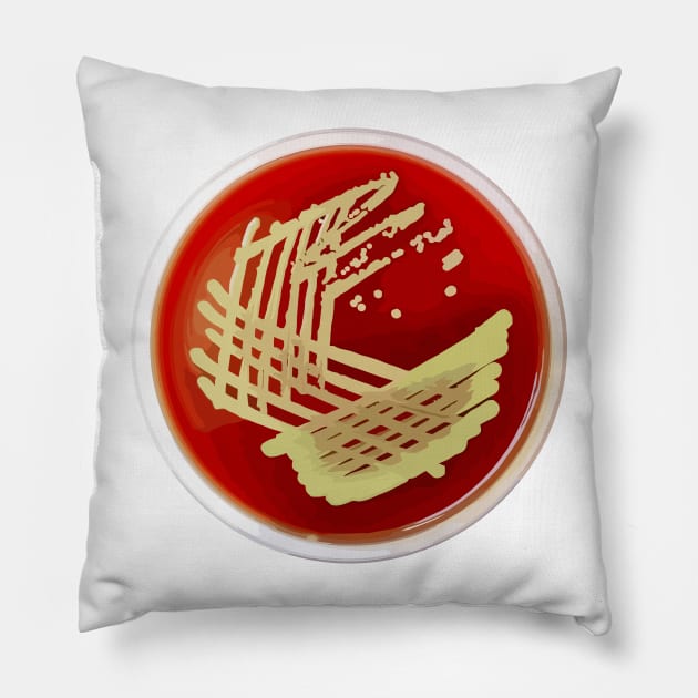 Bacterial Culture Streaks E.coli Petri Dish in Microbiology Lab Gold Red Yellow Pillow by labstud