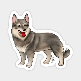 Dog - Swedish Valhund - Tailed Gray Magnet