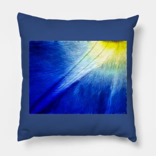 Morning Glory Flower Pillow