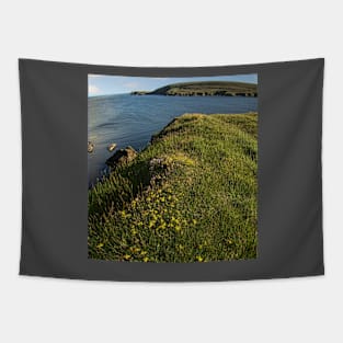 Fetlar, Shetland Islands Tapestry