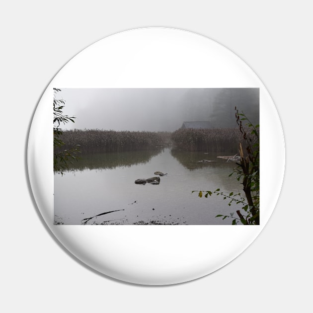 Autumn lake in the fog Pin by Roland69