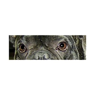 FB brindle eyes T-Shirt