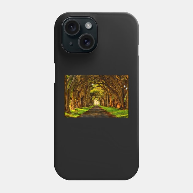 Cypress Golden Glow Phone Case by AdamJewell