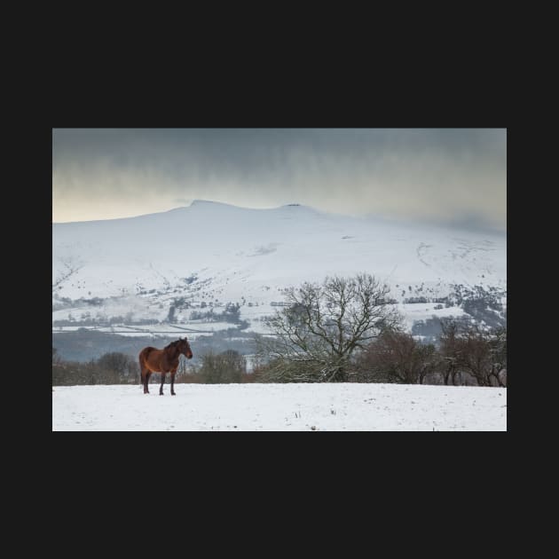 Pen y Fan and Corn Du from Mynydd Illtyd, Brecon Beacons National Park by dasantillo