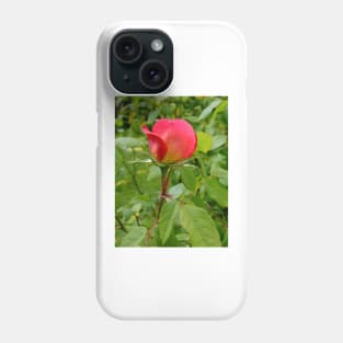 Tea Rose Phone Case