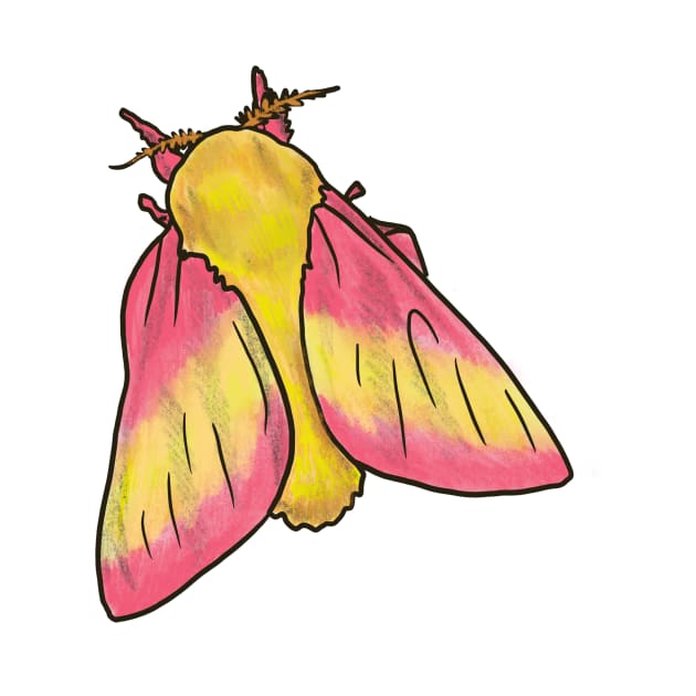 Rosy Maple Moth by shehitsback