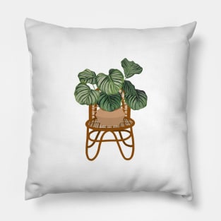 Modern calathea orbifolia plant illustration Pillow