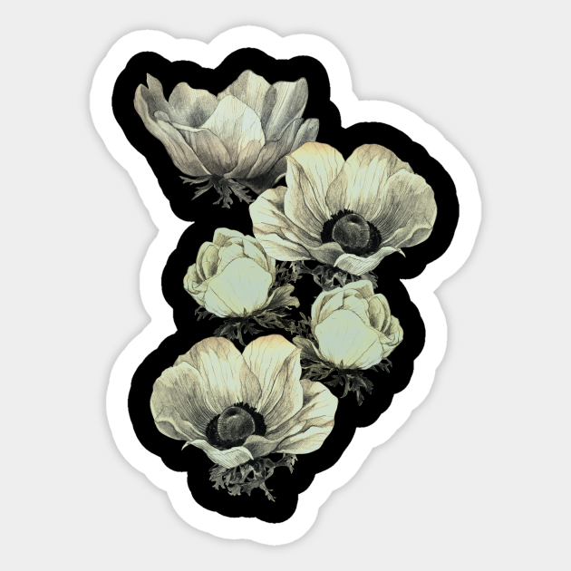Anemone Flowers Transparent Background Anemone Sticker Teepublic Download 206 transparent sticker free vectors. anemone flowers transparent background