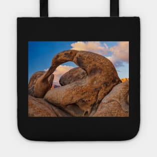 Mobius Arch Tote