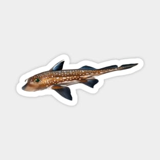 Spotted ratfish, original artwork Magnet